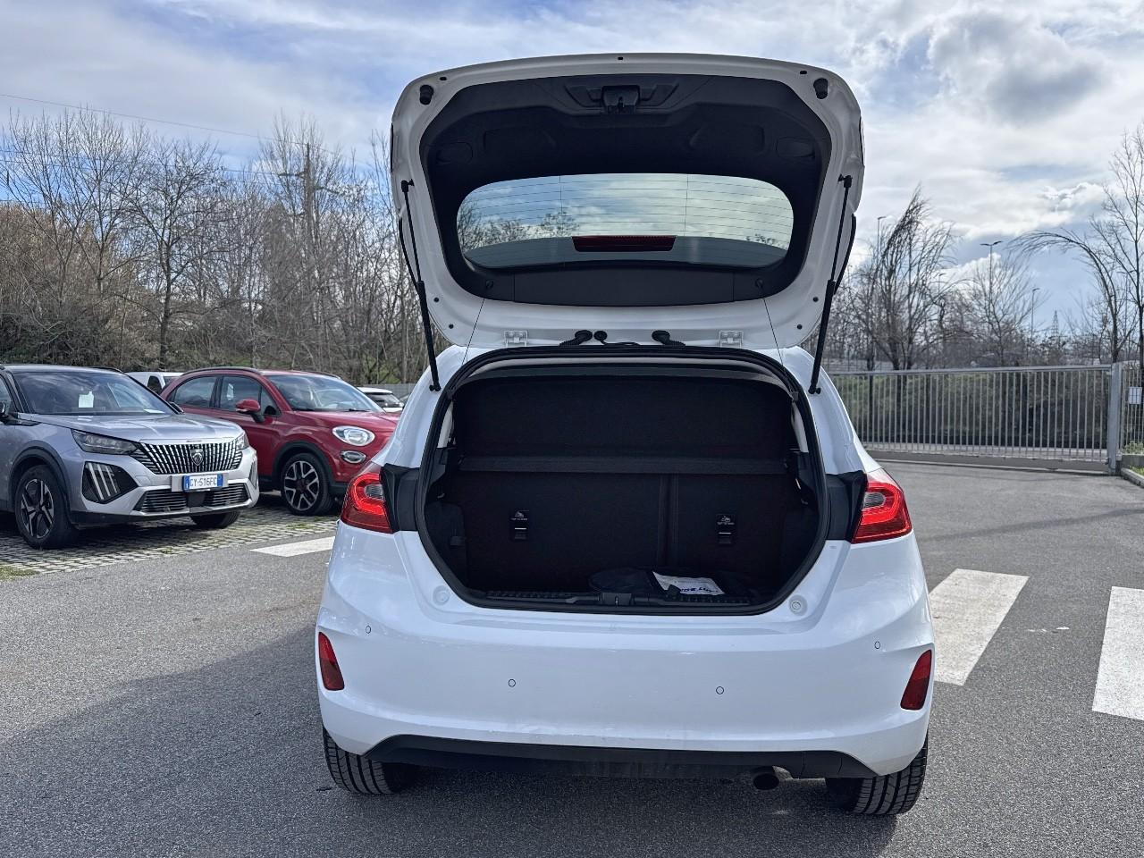 Ford Ford Fiesta usata 18