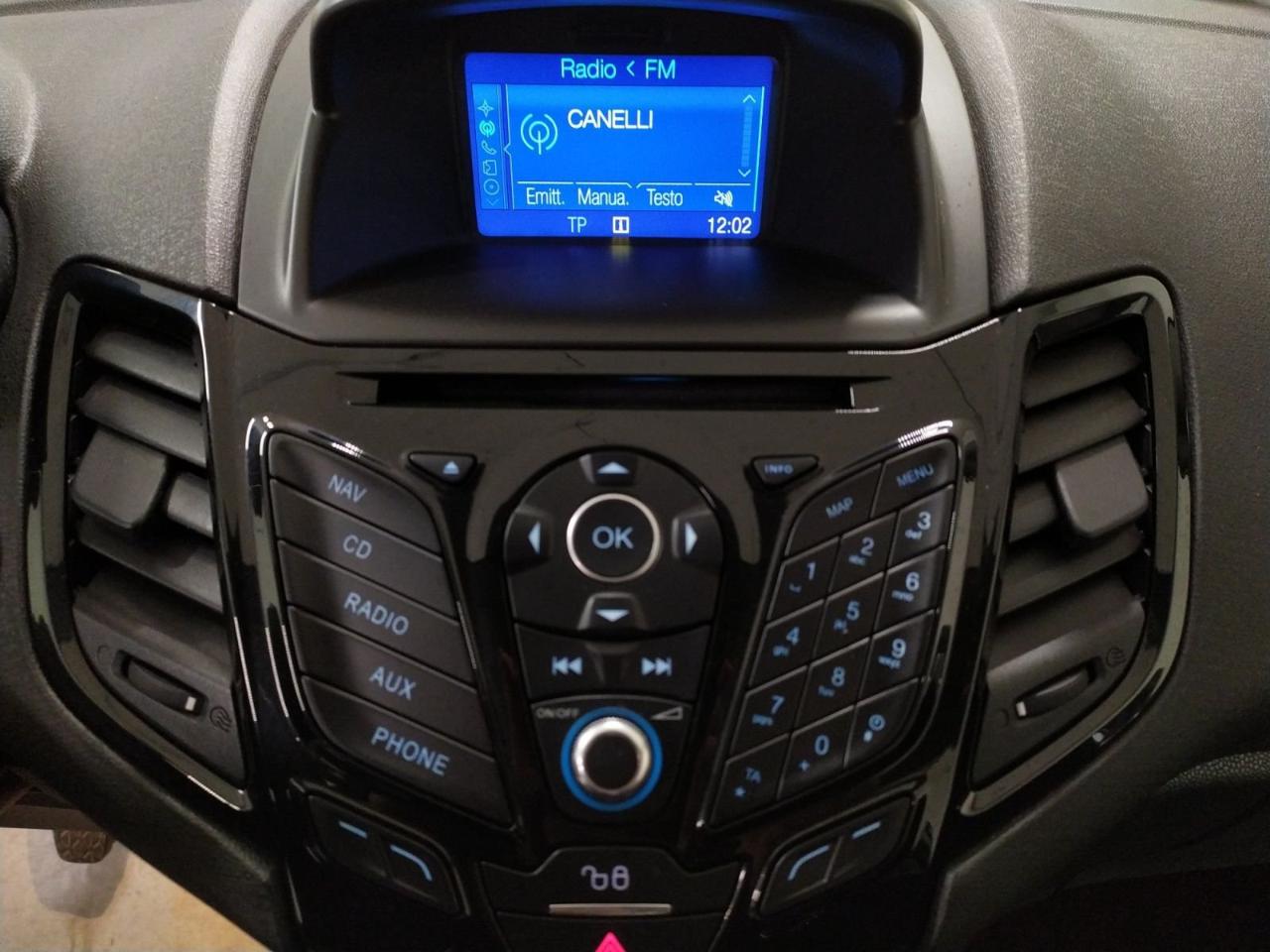 Ford Ford Fiesta usata 13