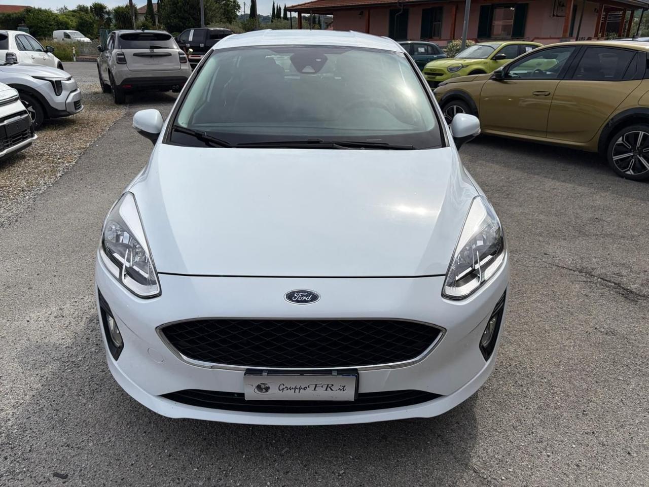 Ford Ford Fiesta usata 11
