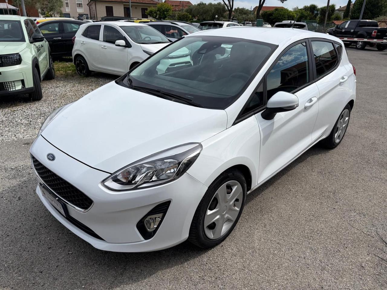 Ford Ford Fiesta usata 14