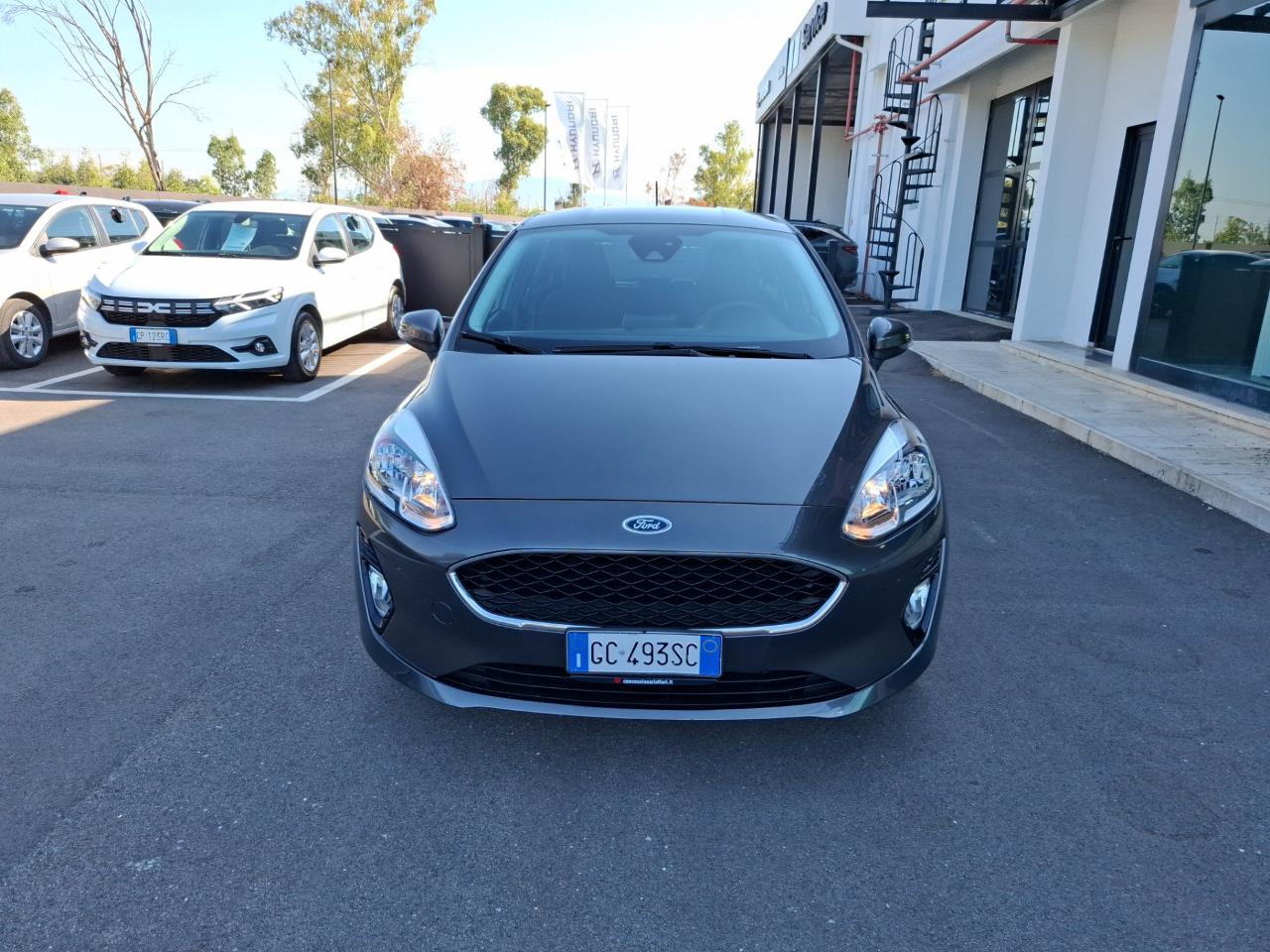 Ford Ford Fiesta usata 19