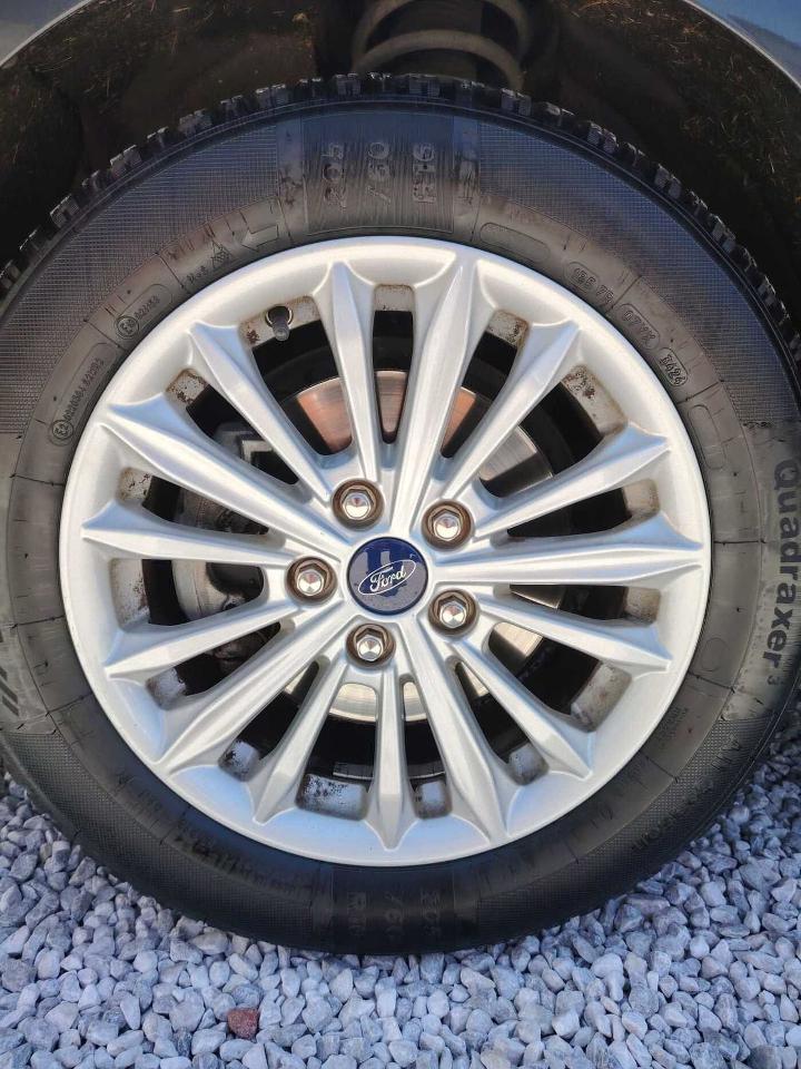 Ford Ford Focus usata, con 5 porte