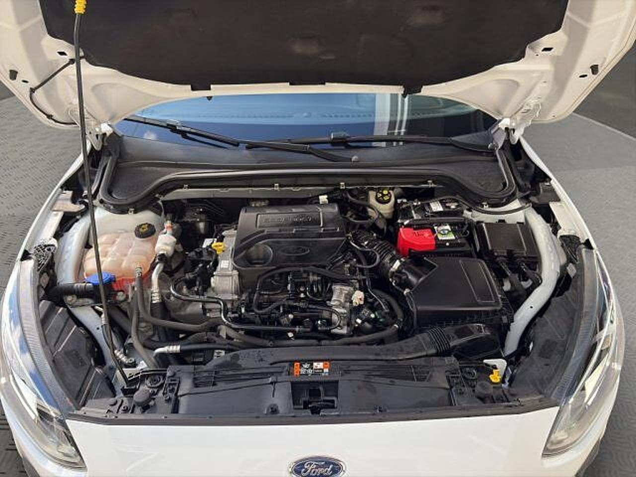 Ford Ford Focus usata 17