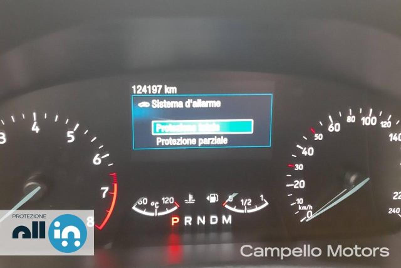 Ford Ford Focus usata 3