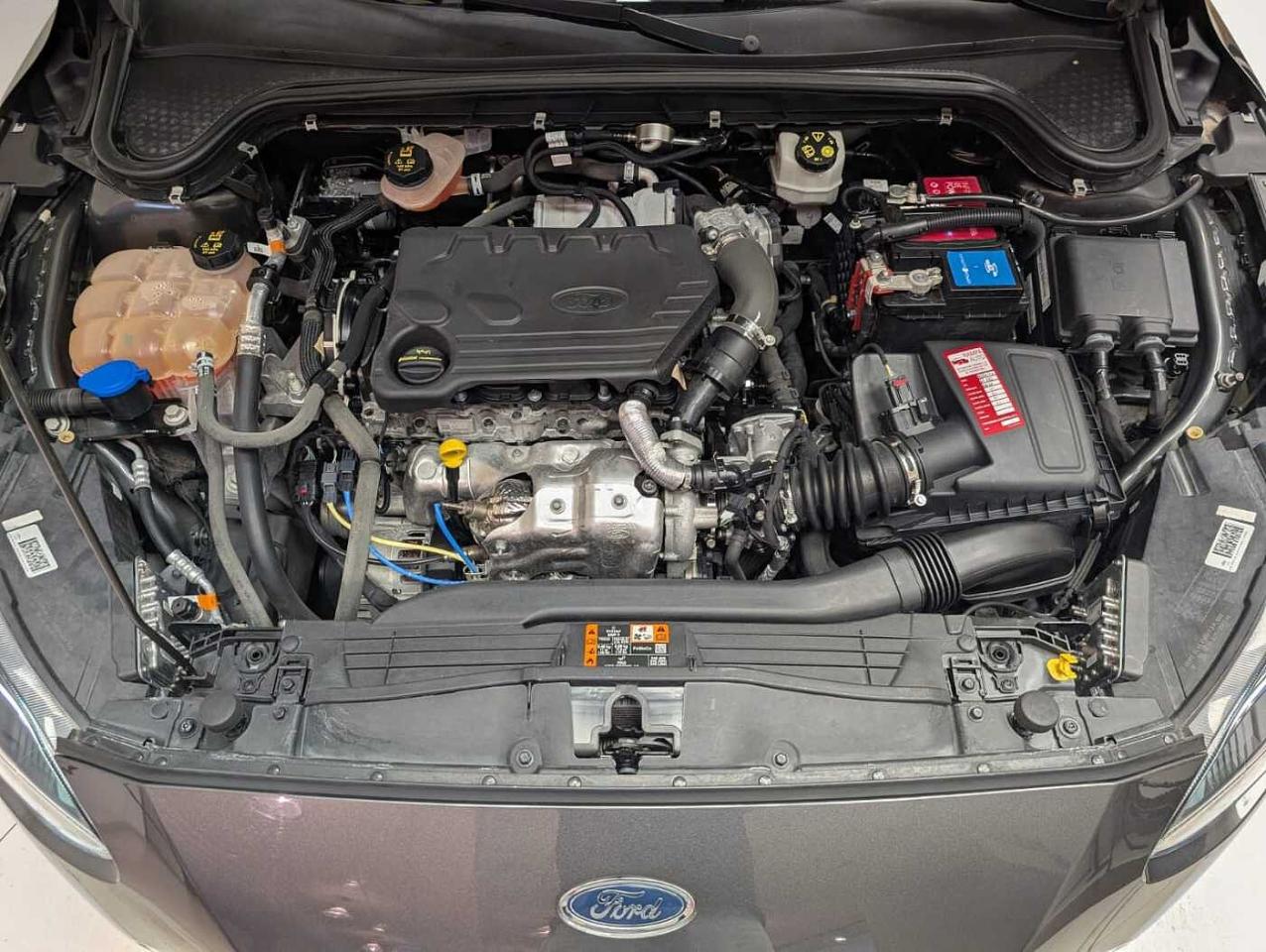 Ford Ford Focus usata, con 4 cilindri