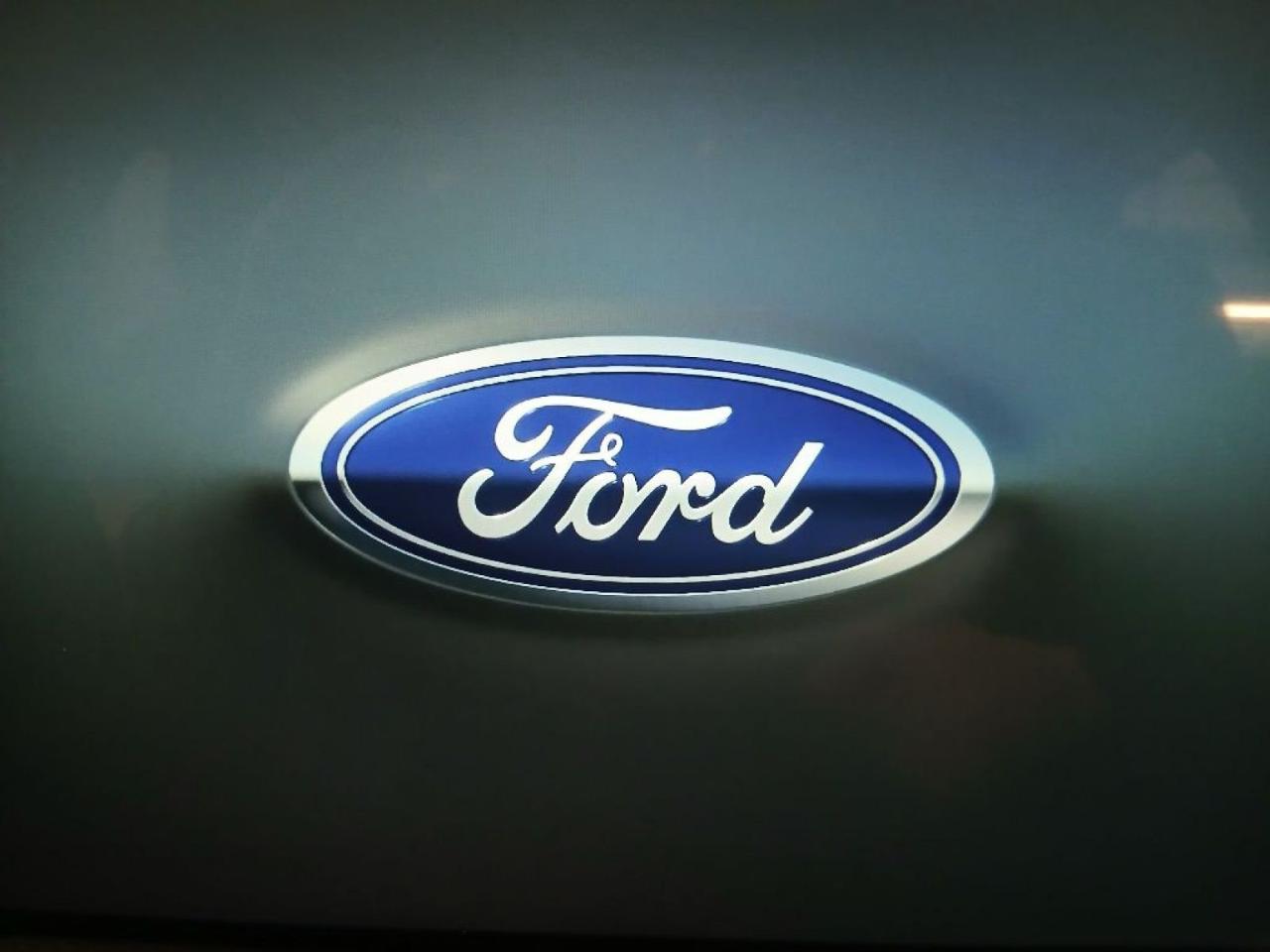 Ford Ford Focus usata 16