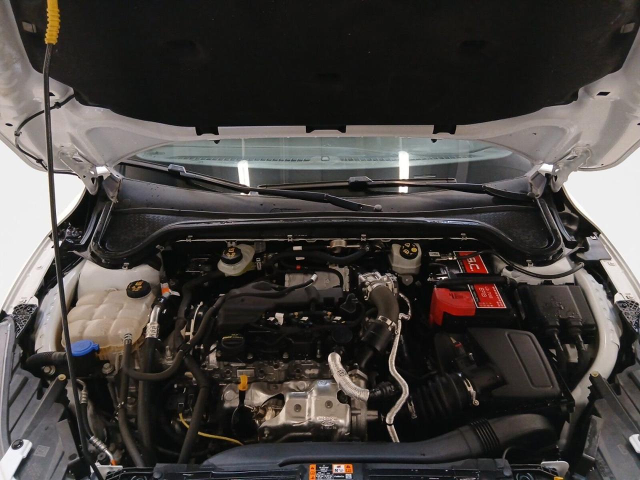 Ford Ford Focus usata 9