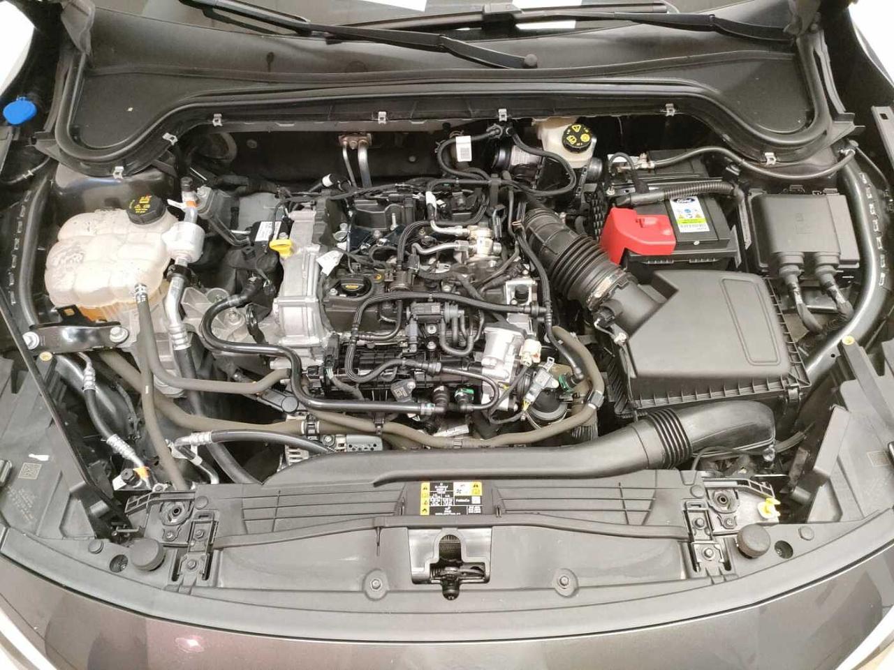 Ford Ford Focus usata, con Climatizzatore