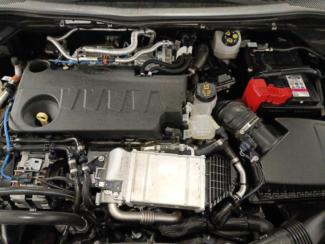 Ford Ford Kuga usata, con Caricabatterie di bordo da 22 kW