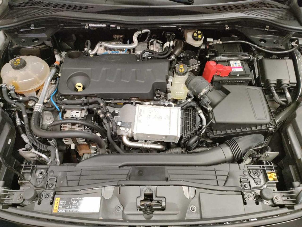 Ford Ford Kuga usata, con Climatizzatore