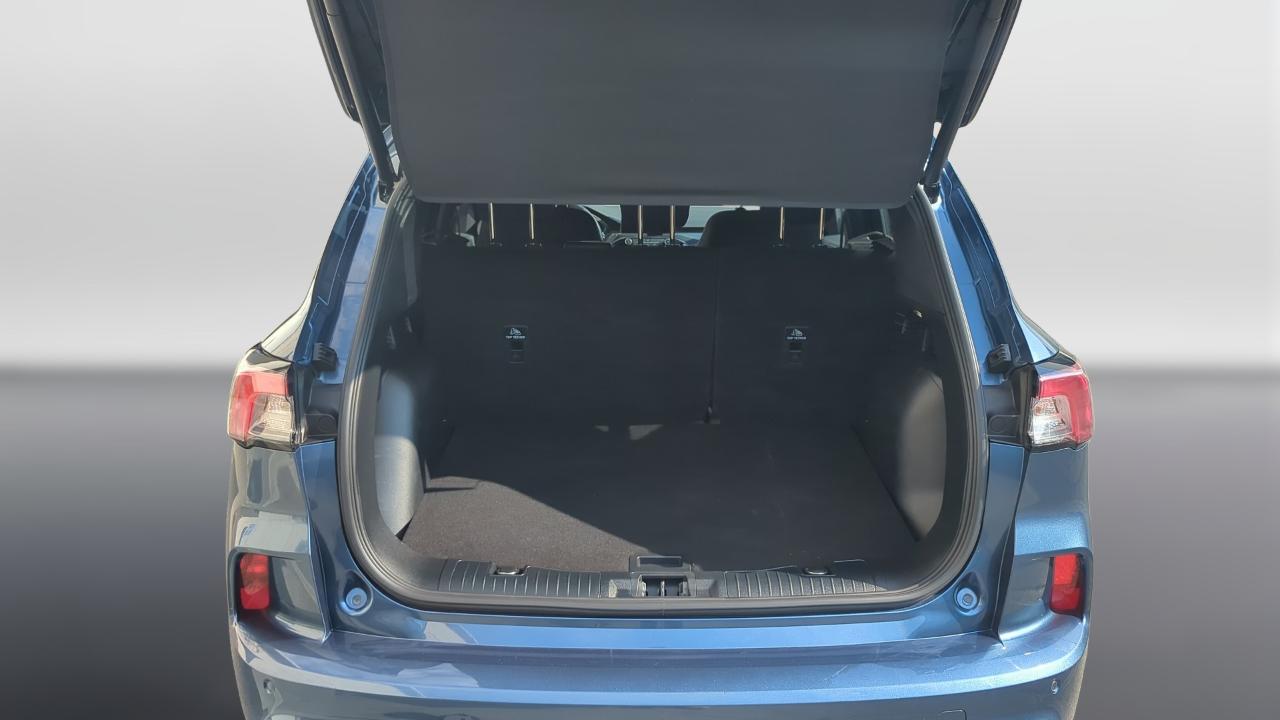 Ford Ford Kuga usata, con Portapacchi