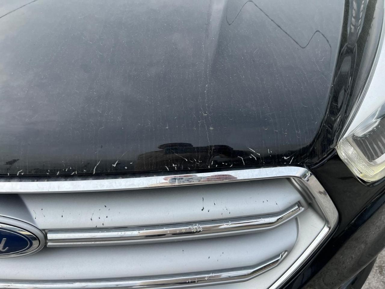 Ford Ford Kuga usata, con Portapacchi