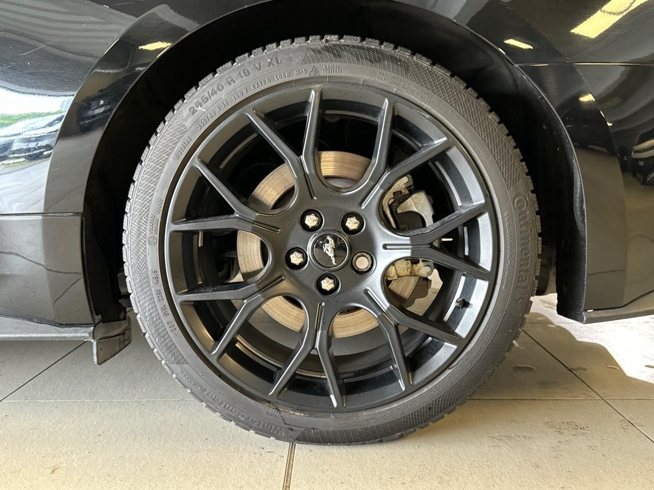 Ford Ford Mustang usata, con 4 freni a disco con 4 dischi ventilati