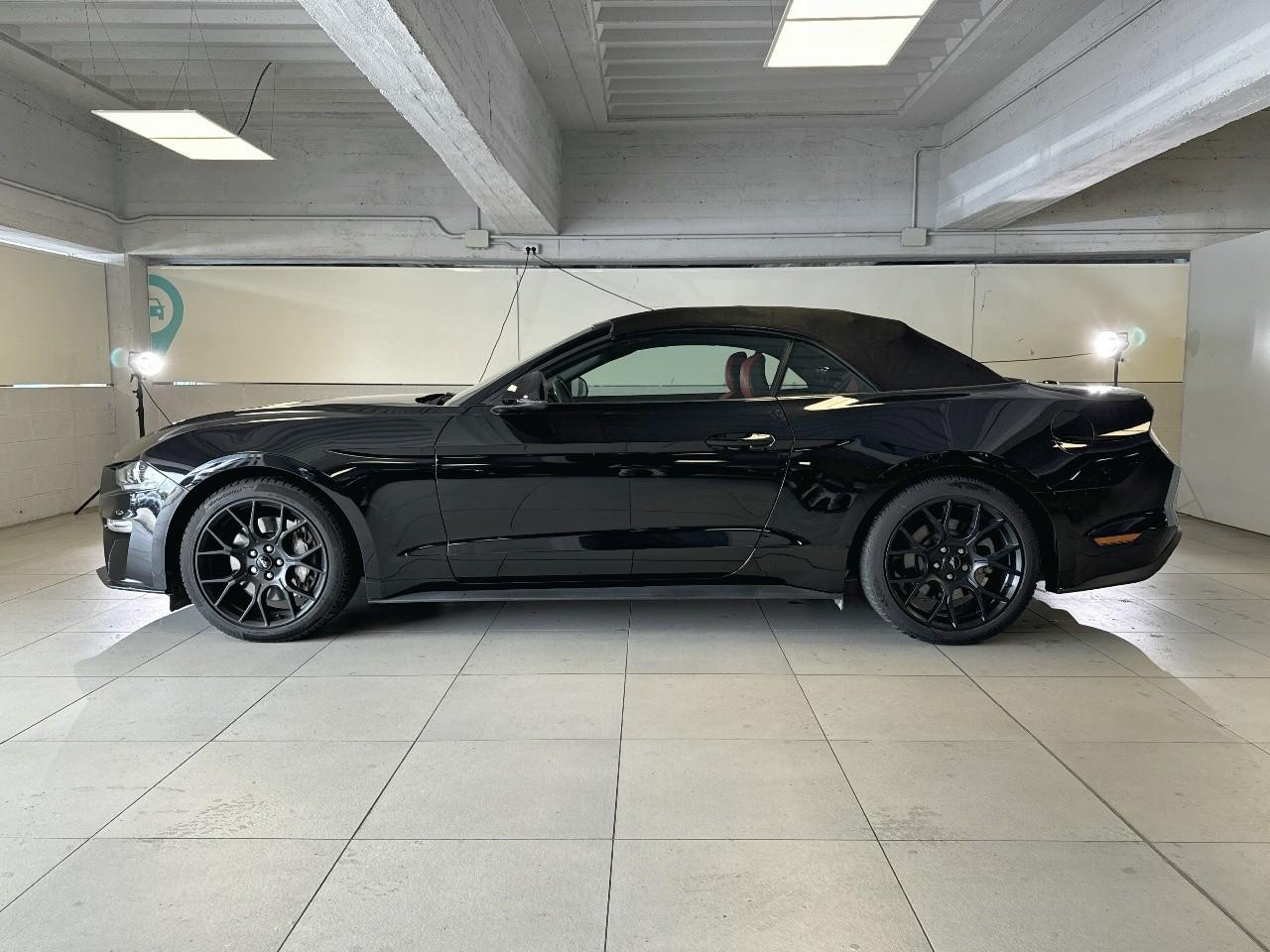 Ford Ford Mustang usata, con cinture sicurezza post. conducente e passeggero