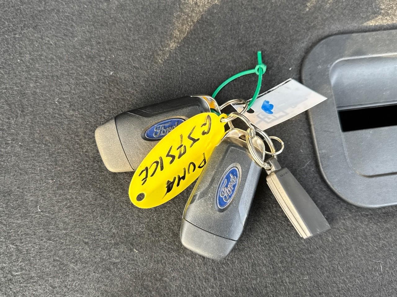 Ford Ford Puma usata 12