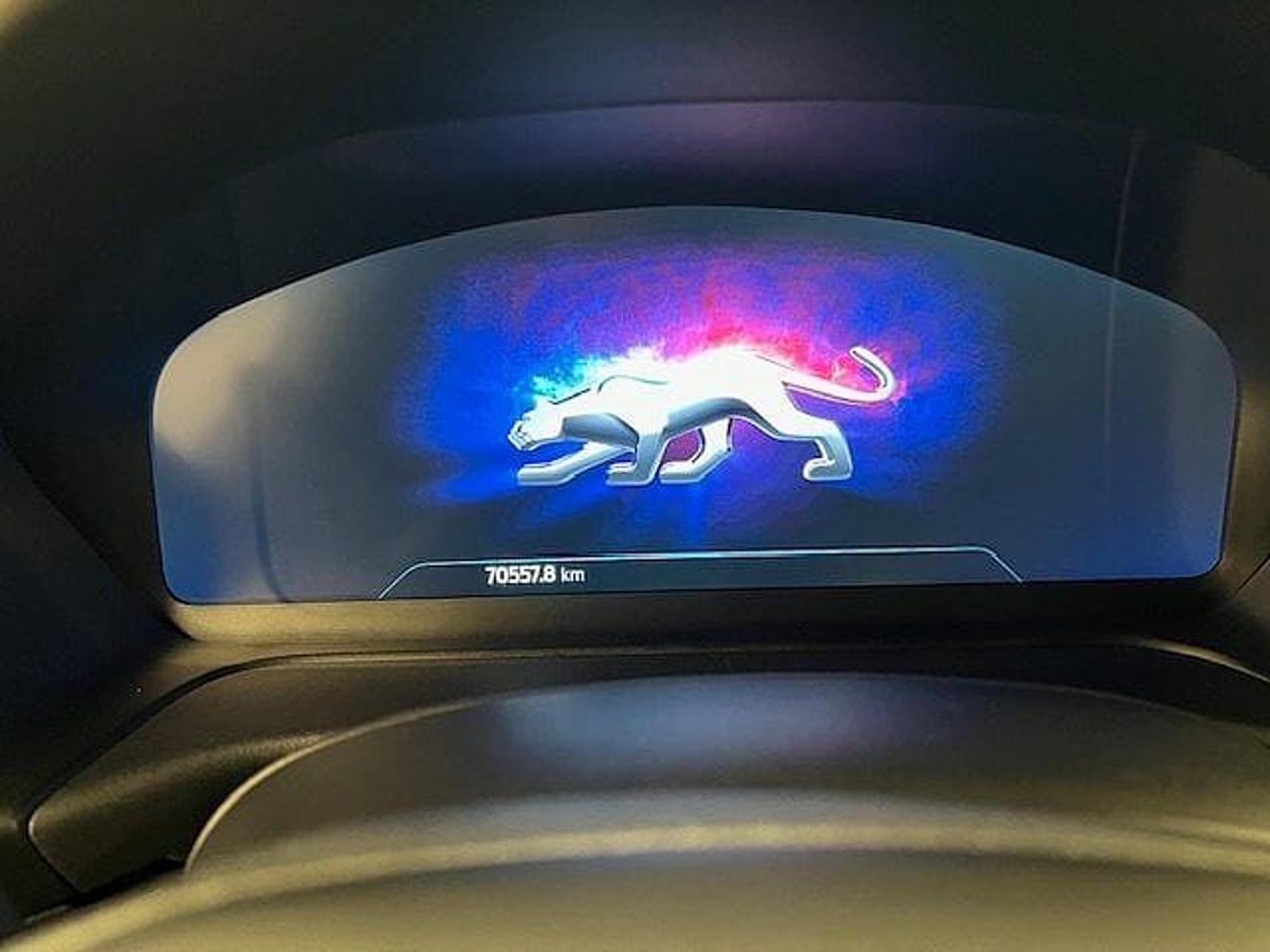 Ford Ford Puma usata 19