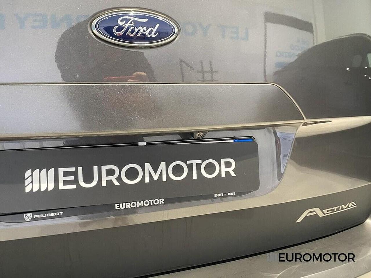 Ford Ford Tourneo usata, con 5 porte