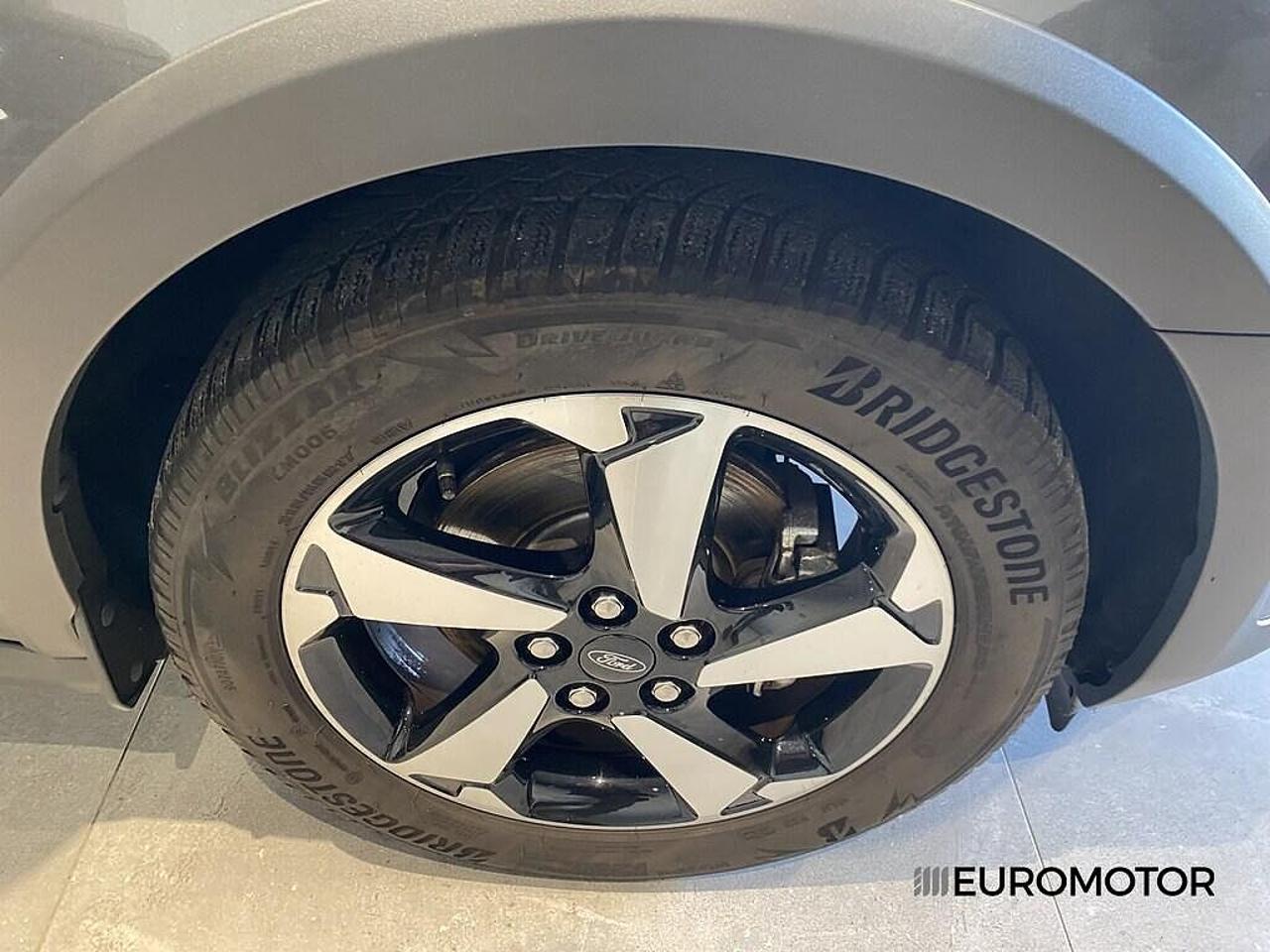 Ford Ford Tourneo usata 23