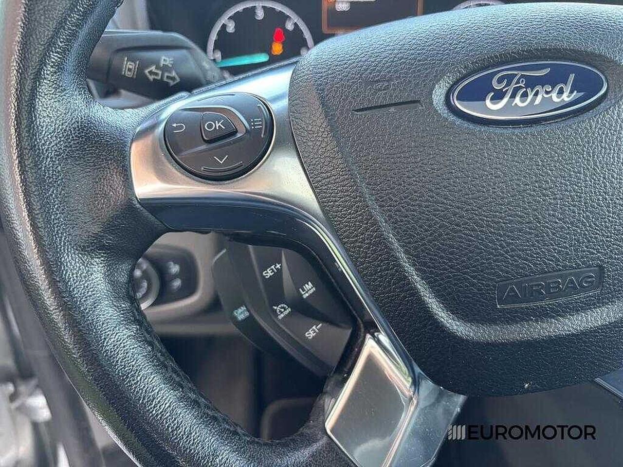 Ford Ford Tourneo usata 14