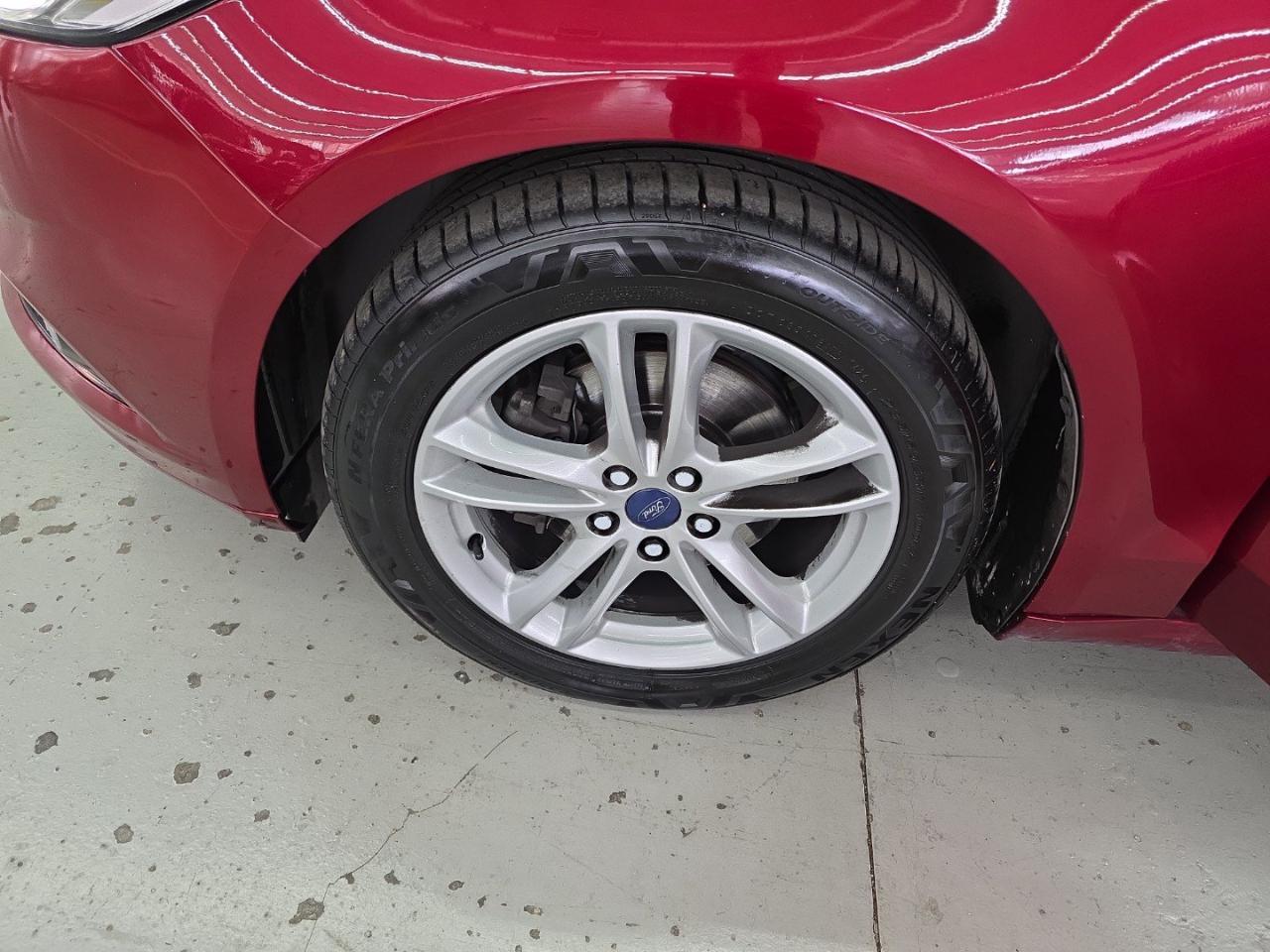 Ford Ford Tourneo usata 8