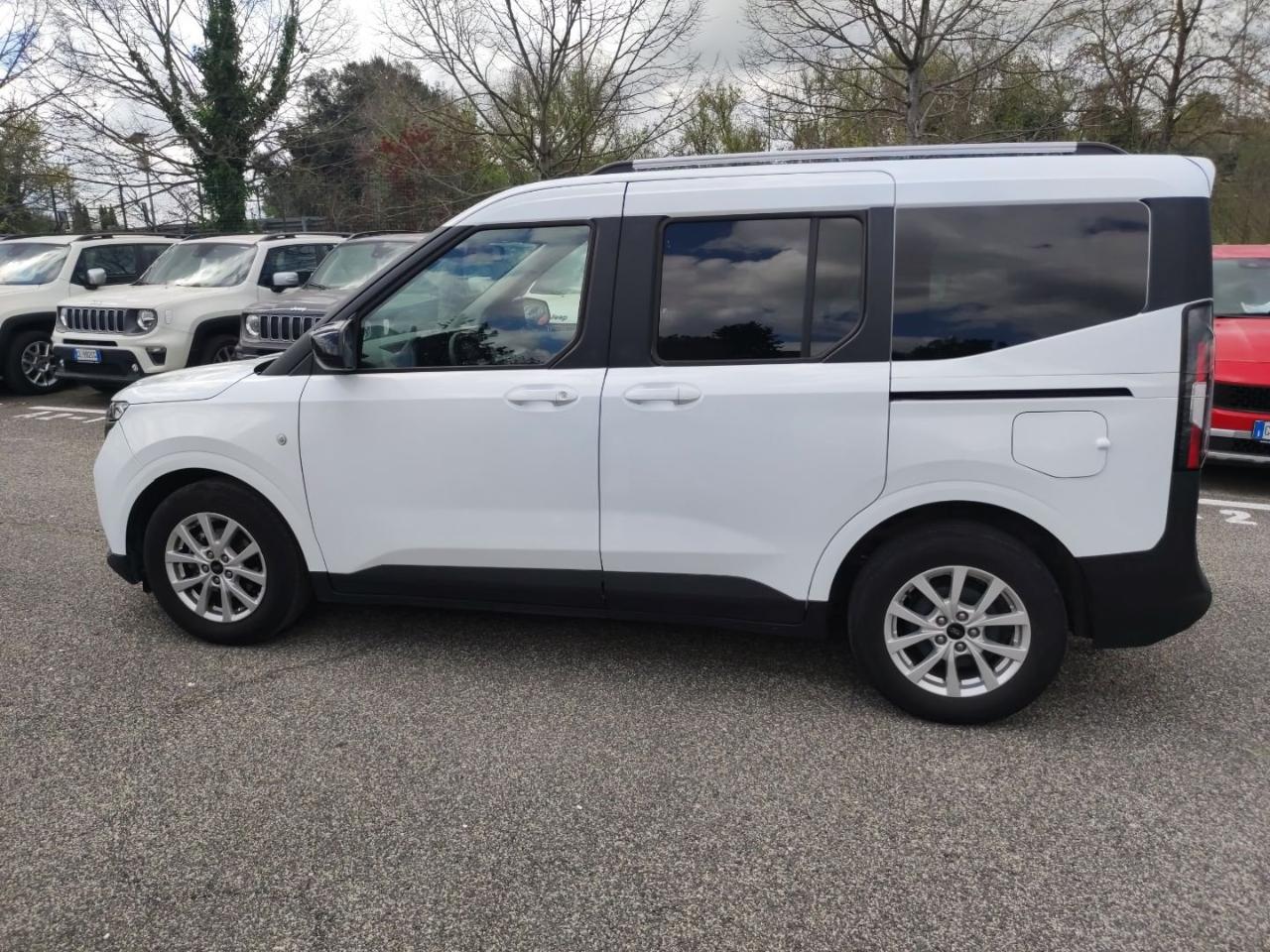 Ford Ford Tourneo usata 19