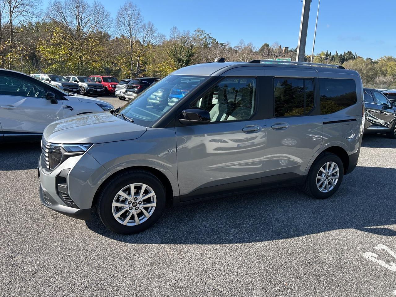 Ford Ford Tourneo usata 18