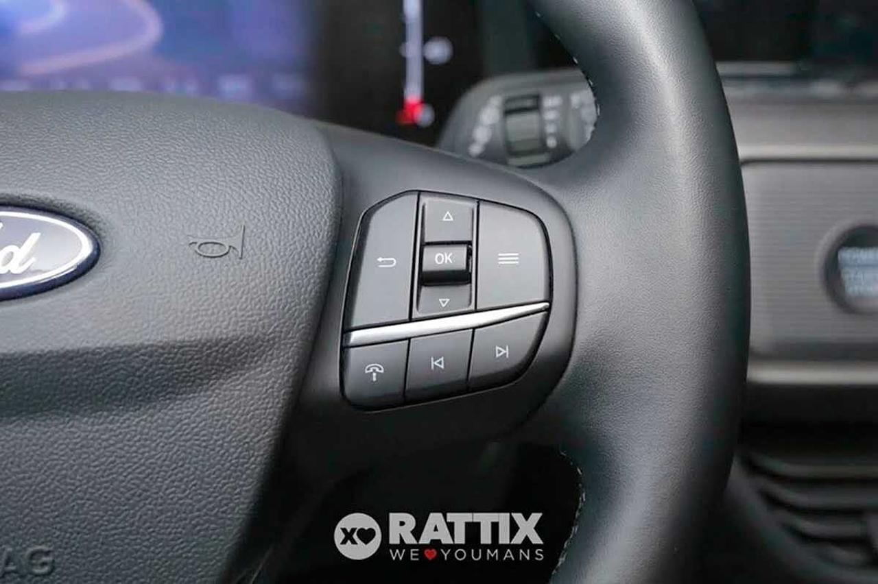 Ford Ford Tourneo usata 3