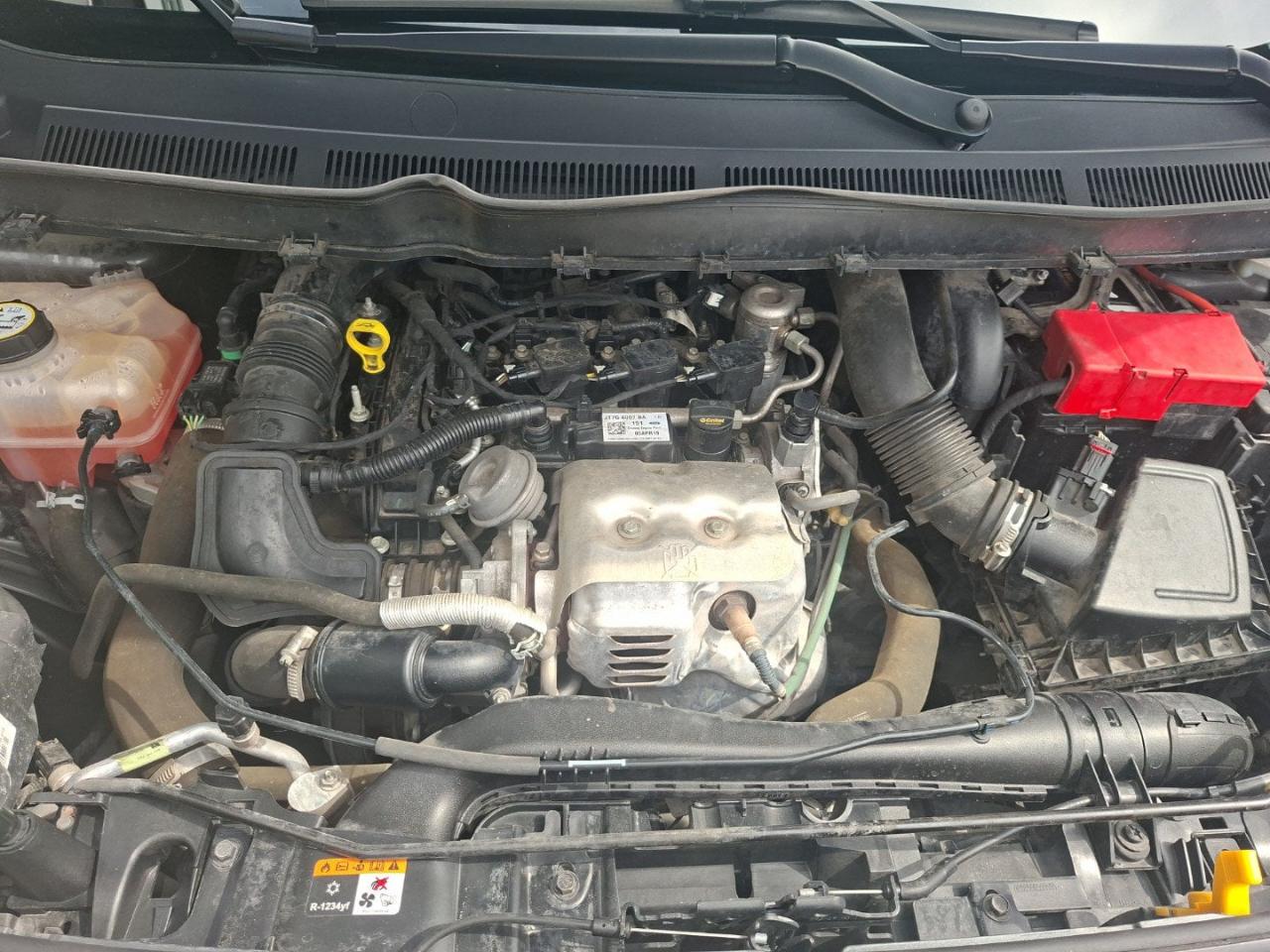 Ford Ford Tourneo usata 3