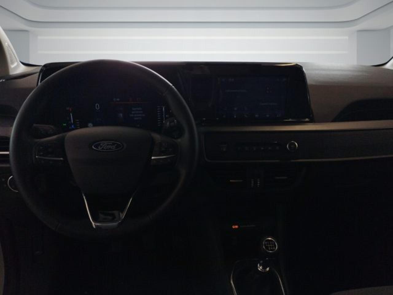 Ford Ford Tourneo usata 6