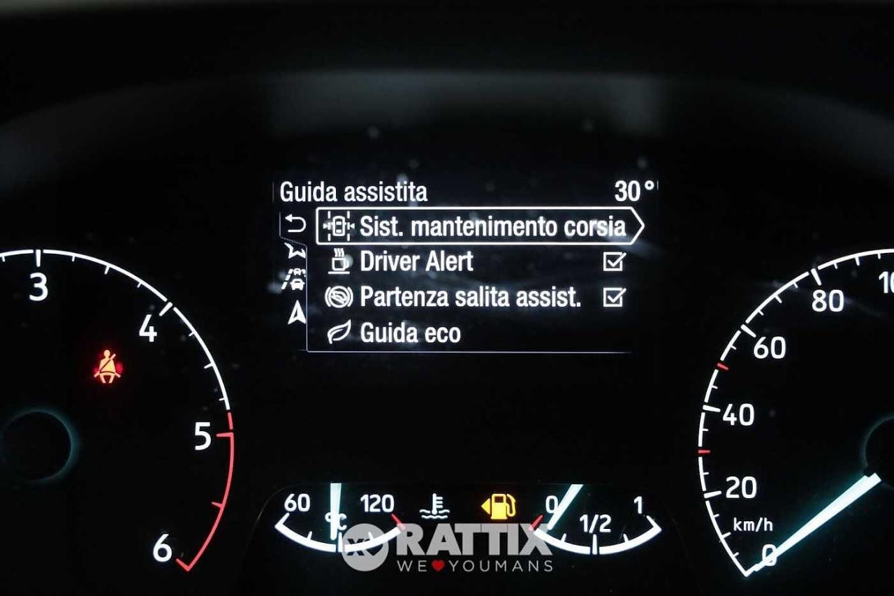 Ford Ford Tourneo usata 6