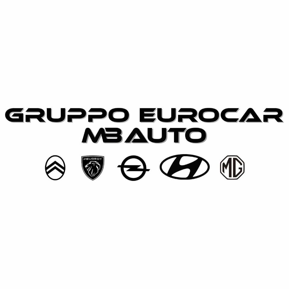 Ford Ford Transit usata 20
