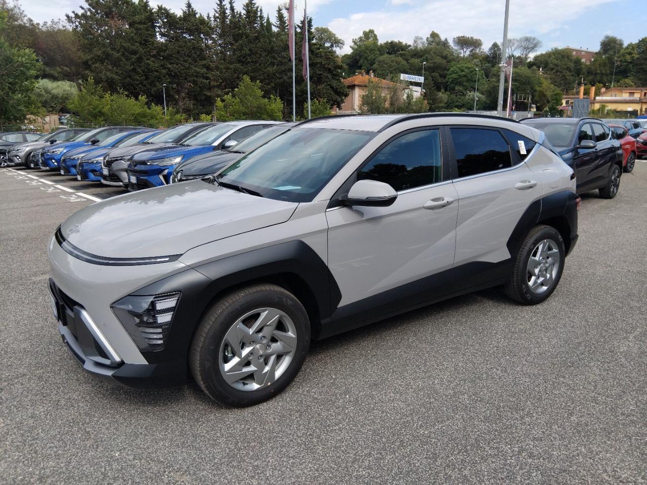 Hyundai Hyundai Kona usata 18
