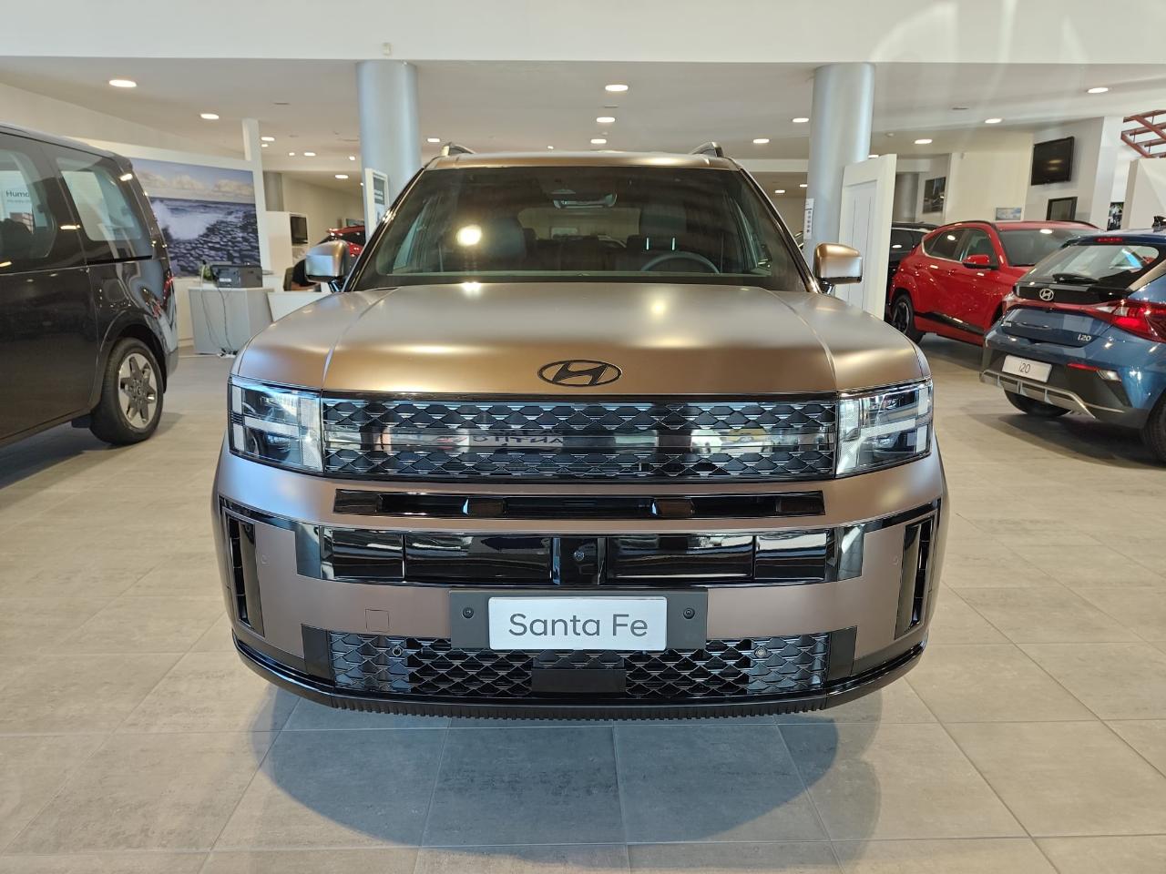 Hyundai Hyundai Santa Fe usata 11