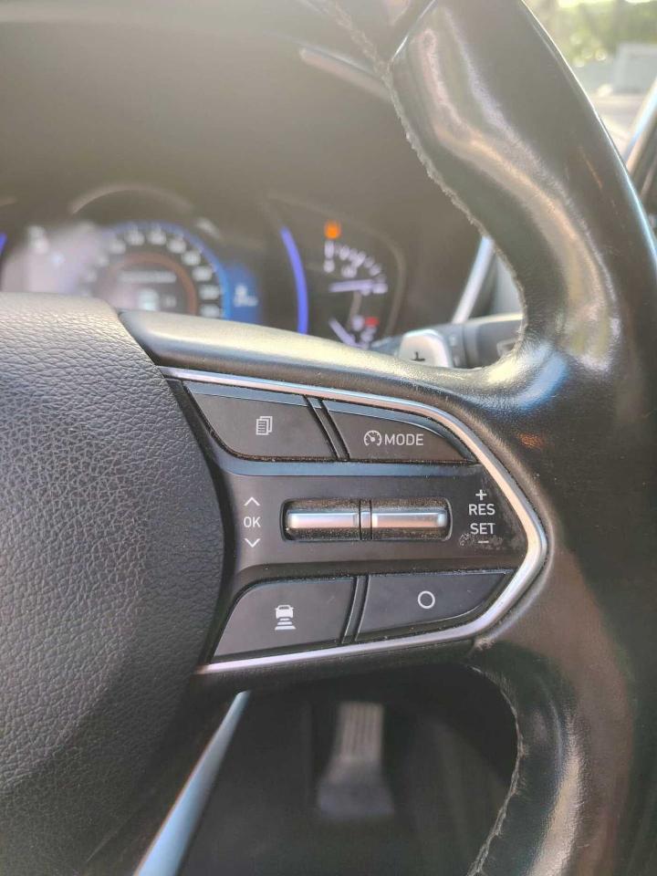 Hyundai Hyundai Santa Fe usata 18