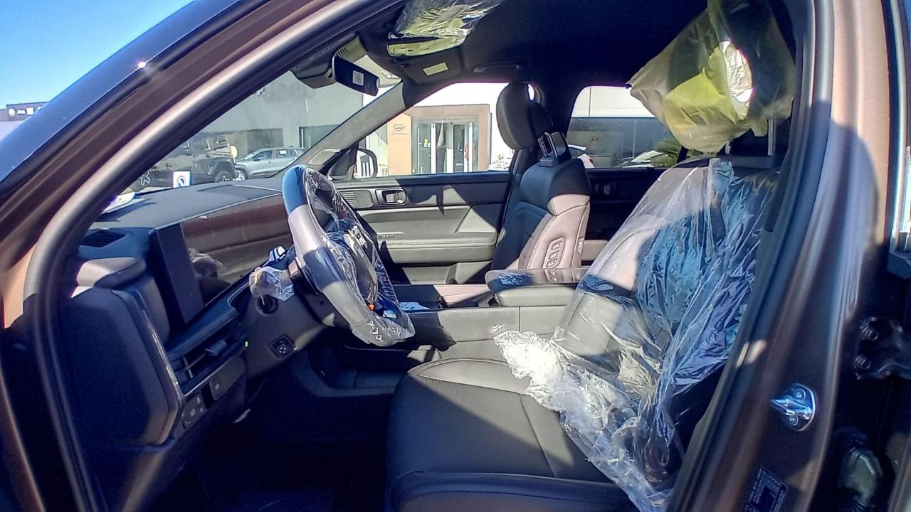 Hyundai Hyundai Santa Fe usata 12