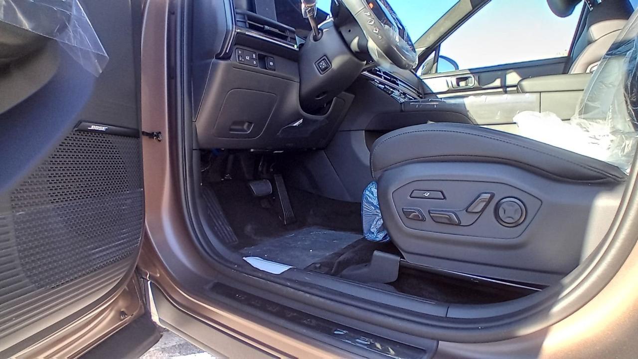 Hyundai Hyundai Santa Fe usata 18