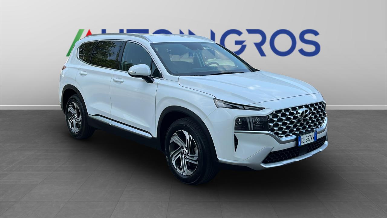 Hyundai Hyundai Santa Fe usata 13