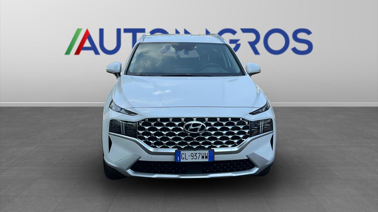 Hyundai Hyundai Santa Fe usata 14