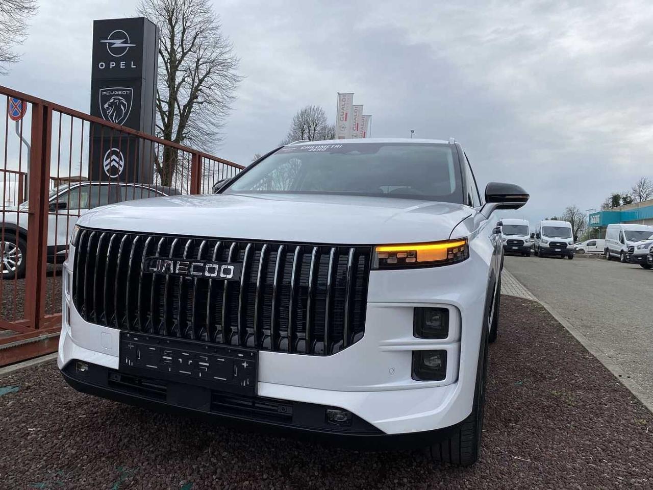 Jaecoo Jaecoo J7 usata 20