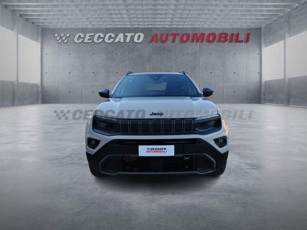 Jeep Jeep Avenger usata 19