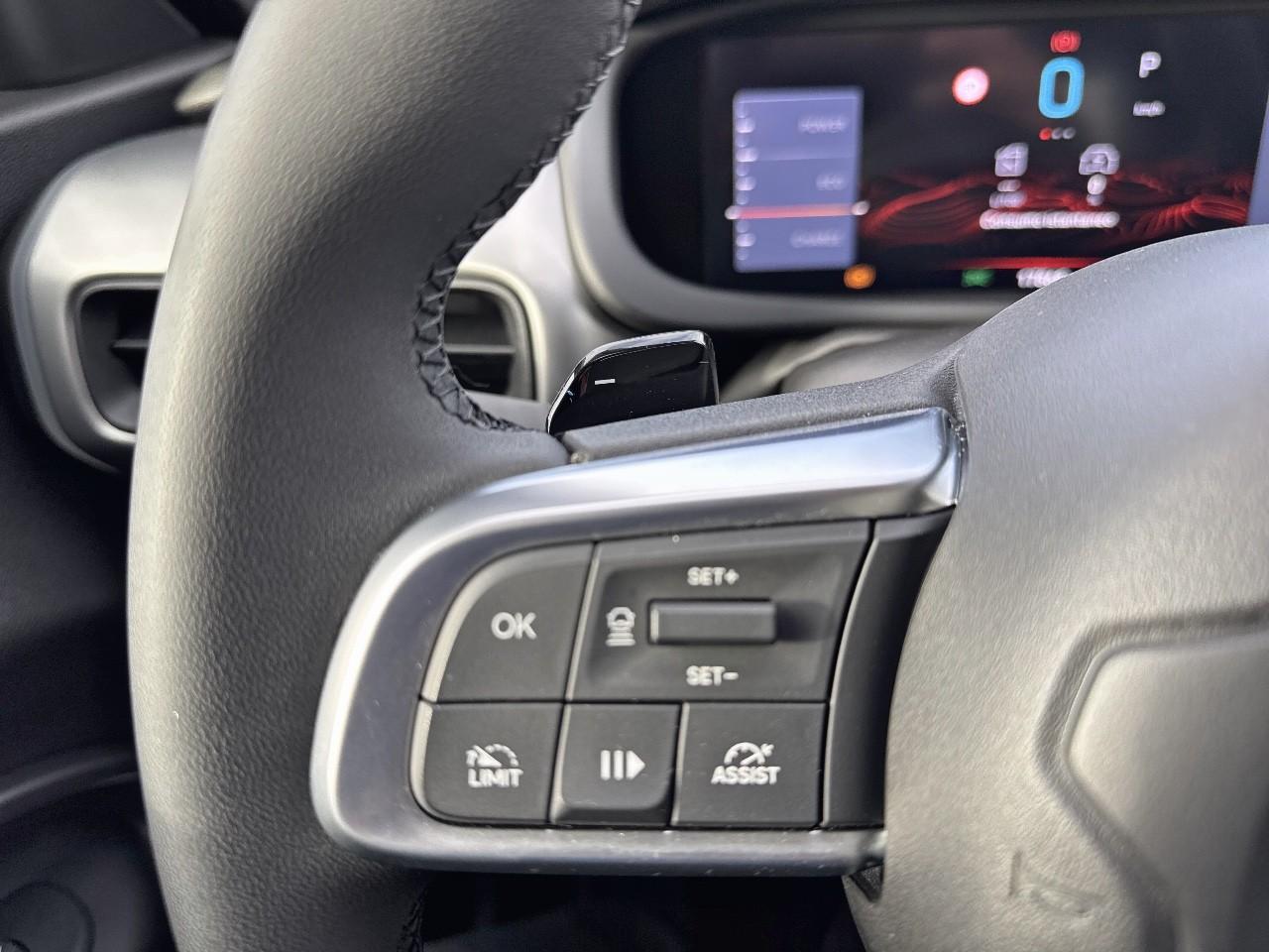 Jeep Jeep Avenger usata 10