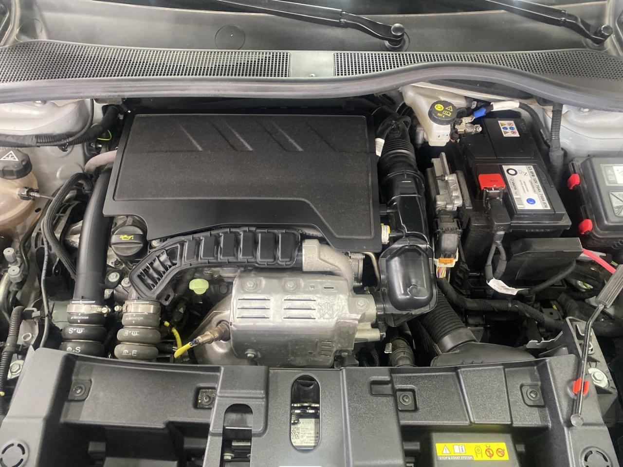 Jeep Jeep Avenger usata 4