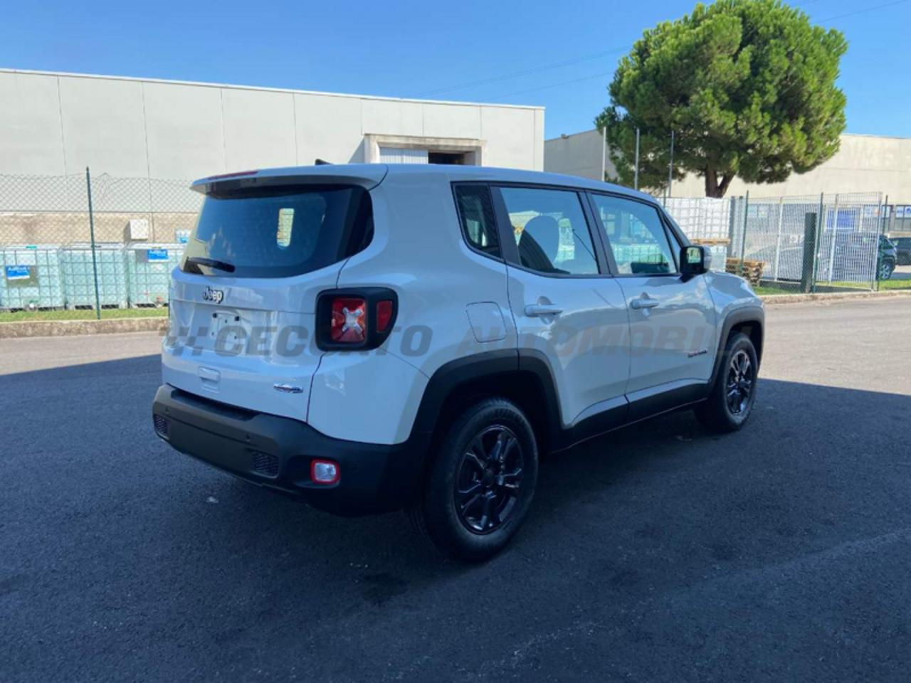 Jeep Jeep Renegade usata 15