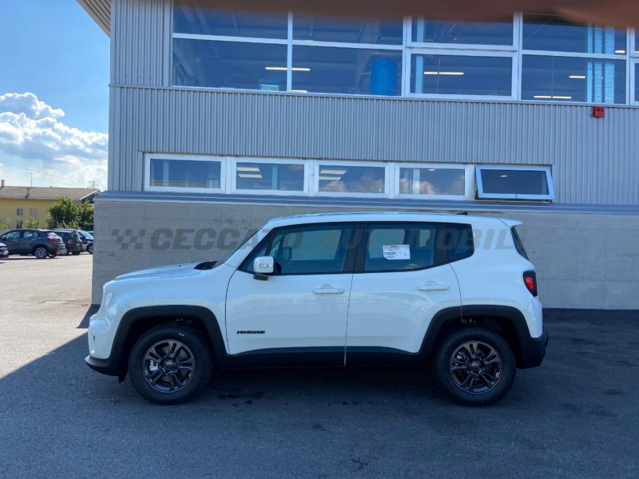 Jeep Jeep Renegade usata 18