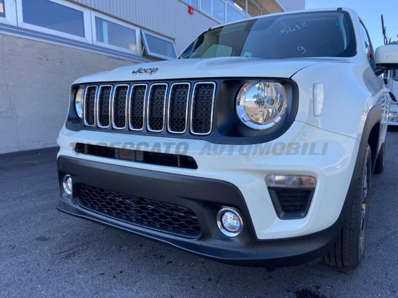 Jeep Jeep Renegade usata 19