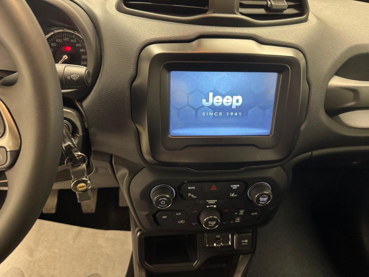 Jeep Jeep Renegade usata, con cruise control