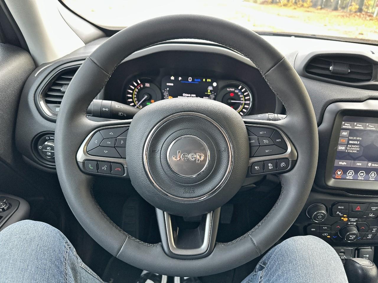 Jeep Jeep Renegade usata, con Caricabatterie di bordo da 7,4 kW