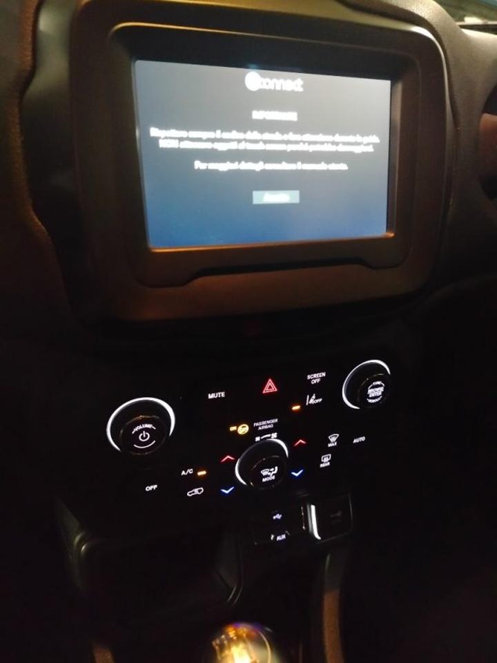 Jeep Jeep Renegade usata 9