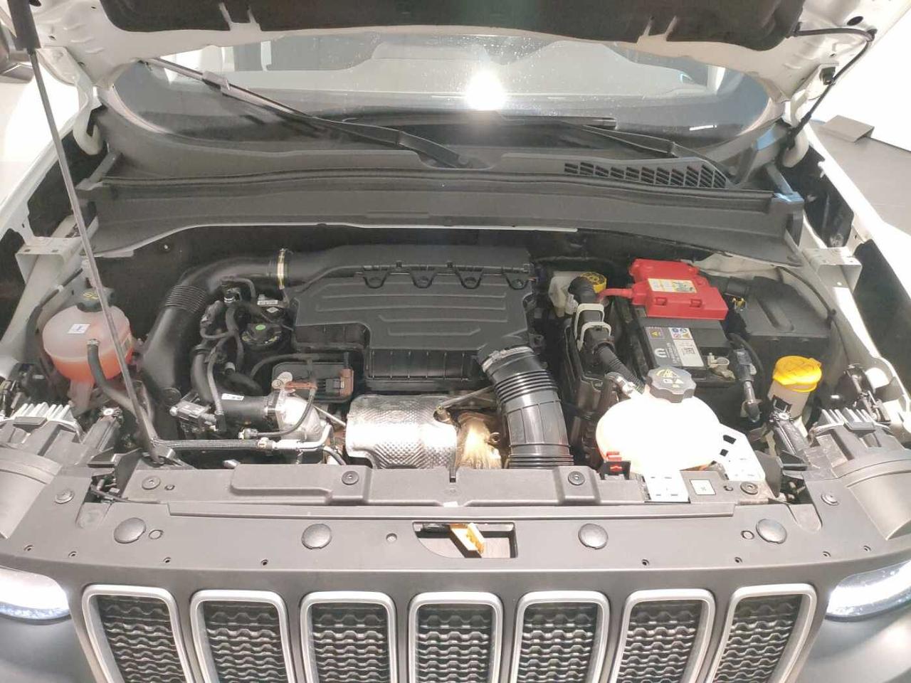 Jeep Jeep Renegade usata, con Climatizzatore