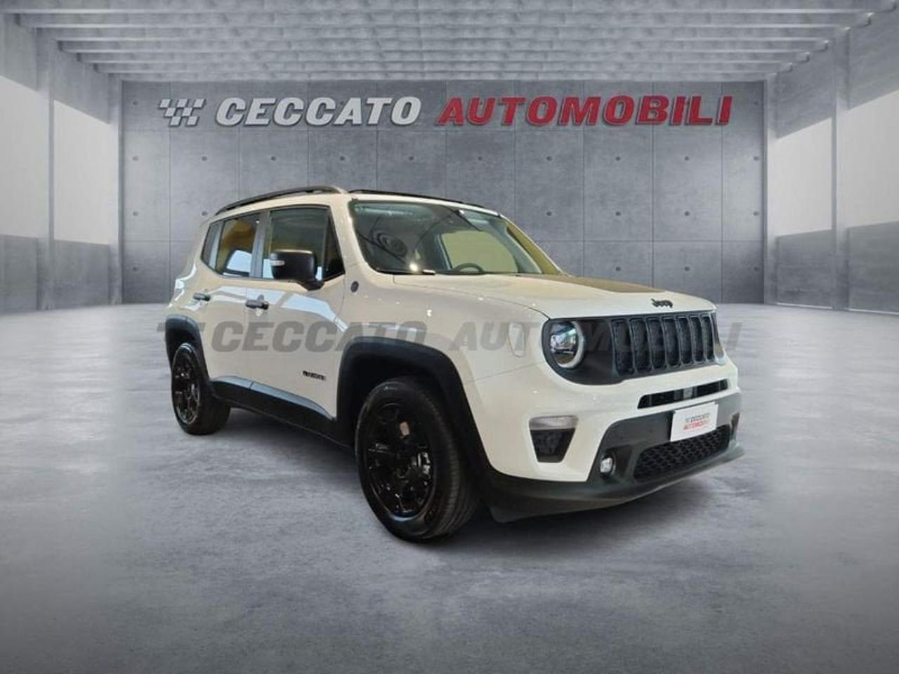 Jeep Jeep Renegade usata, con navigatore